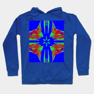 MPDLS Hoodie